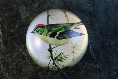 Creative Co-Op Glass Finch Bird Paperweight 2
