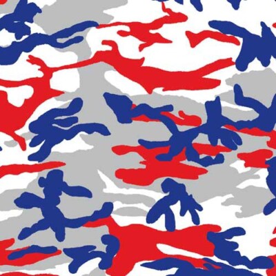Carolina Creative Bandanna (Patriotic Camouflage) 22