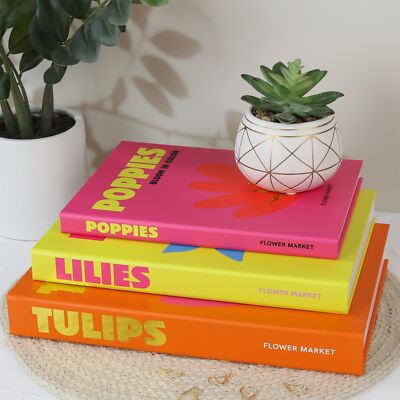 Beautiful Decorative Books Set of 3 - Preppy Room Decor Boxes Enhance Your Co...-image