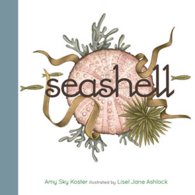 Seashell - Board book By Koster, Amy Sky - GOOD-image
