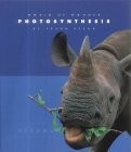 Photosynthesis (World of Wonder) by -image