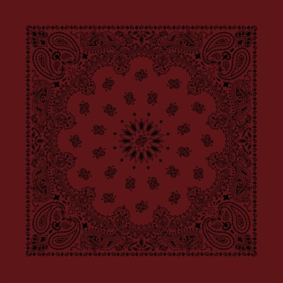 Carolina Creative Bandanna (Burgundy) Contemporary Paisley 22