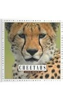 Cheetahs (Let's Investigate)-image