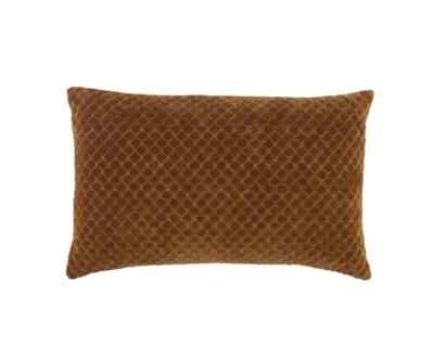 Joss Main Phoebe 100% Cotton Lumbar Rectangular Pillow NWOT-image