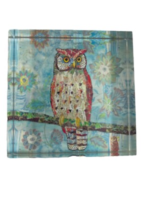 Creative Co-op Owl Acrylic Paperweight Aqua Orange Whimsical Desk Office Decor-image