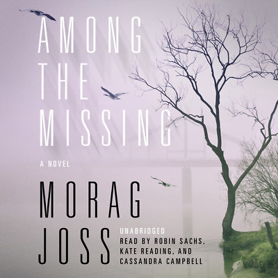 Among the Missing by Morag Joss 2011 Unabridged CD 9781441789686-image