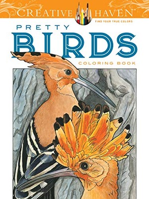 Creative Haven Pretty Birds Co - VERY GOOD-image
