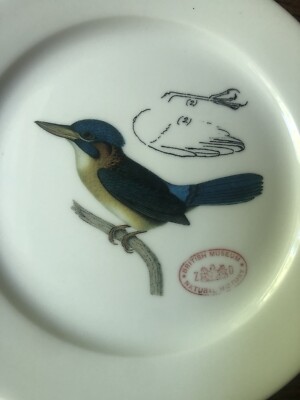 Creative Co Op British Museum Ceramic 8” Bird Plate In Excellent Preowned Cond.-image