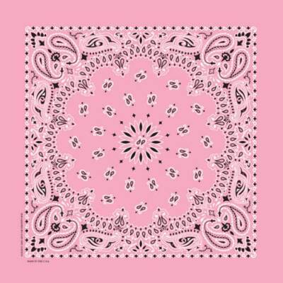 Carolina Creative Bandanna (Light Pink) Paisley Print 22