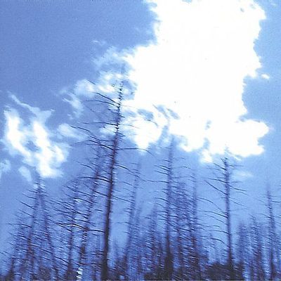 Joss, If Not for the Hovering..., CD-image