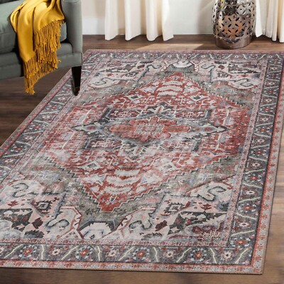 Mesa Rustic Geometric Medallion Border Washable Indoor Area Rugs or Runner Rug-image