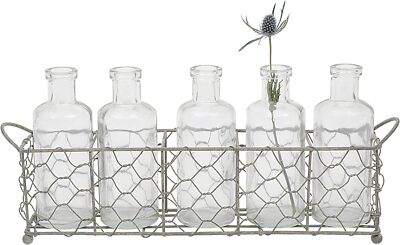 Creative Co-Op Wire Holder with 5 Glass Vase Bottles Clear -image