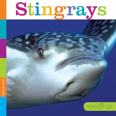 Seedlings: Stingrays - Paperback - VERY GOOD-image
