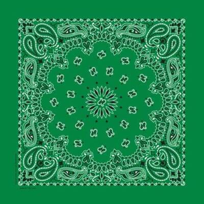 Carolina Creative Bandanna (Kelly Green) Paisley Print 22