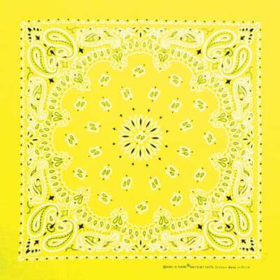 Carolina Creative Bandanna (Neon Yellow) Paisley Print 22