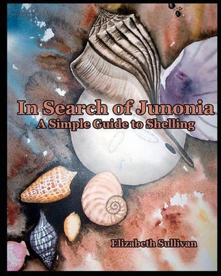 In Search Of Junonia: A Simple Guide To Shelling by Elizabeth Sullivan (English)-image