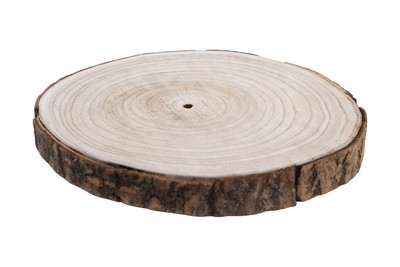 Large Round Paulownia Wood Slice-image