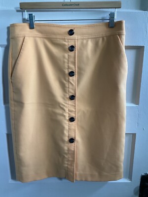 Ann Taylor Light Orange Skirt Size 10p-image