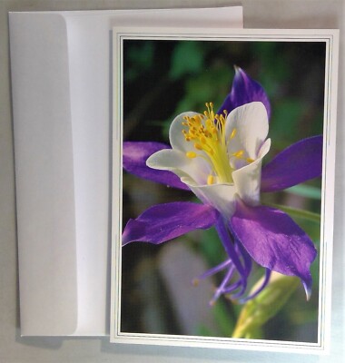Blue Columbine photograph by Larry Burton notecard Creative Arts Publishing Co.-image