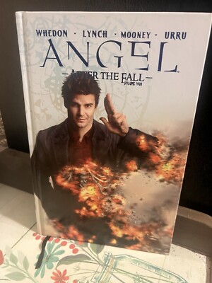 Angel After The Fall. Volume 4-image