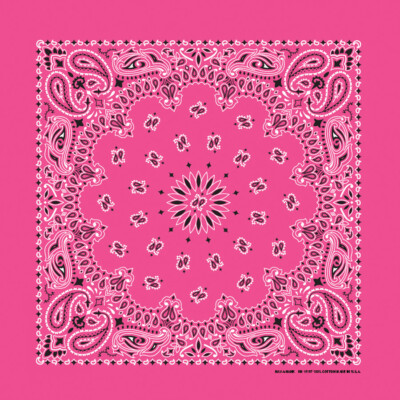 Carolina Creative Bandanna (Fuchsia) Paisley Print 22
