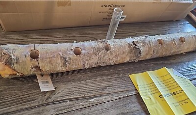 Hydroponic Wood Log Propagation Station 6 Glass Tubes Plant Decor Creative Co-op-image