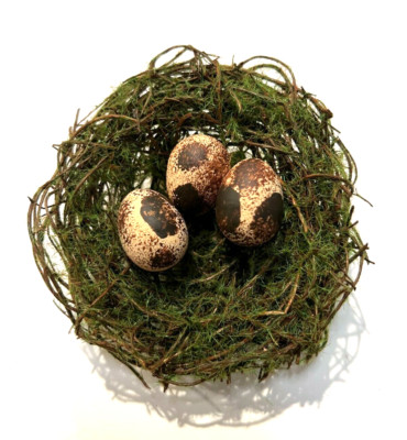 Creative Co-Op Faux Bird Nest with 3 Eggs Clip On 5