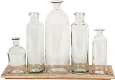 Creative Co-Op DA2672 Set of 5 Vintage Bottle Vases on Wood Tray BN in Box!-image