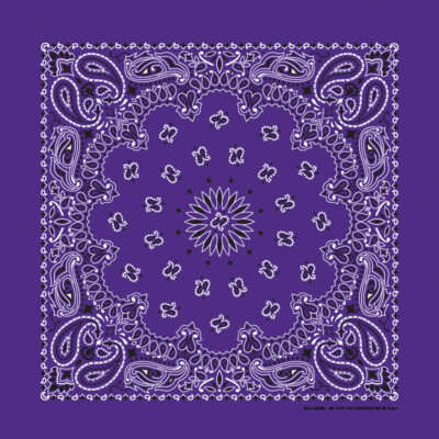 Carolina Creative Bandanna (Purple) Paisley Print 22