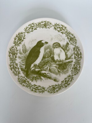 Creative Co-Op Wild Life Birds 8