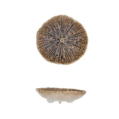 Creative Co-op 4 in Tan Sea Urchin Plate-image