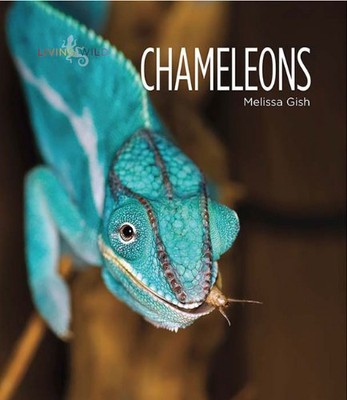 Creative Paperbacks 54354 Living Wild Chameleons-image