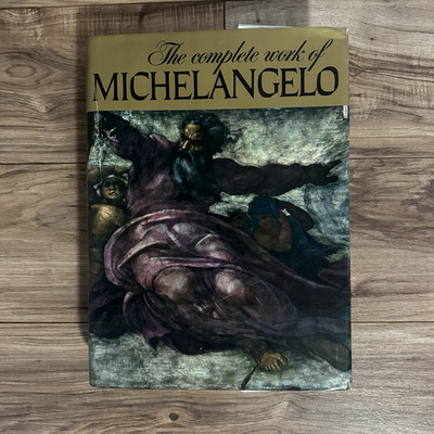 Complete Work of Michelangelo Reynal & Co Large HC Mario Salmi EUC Artabras Book-image