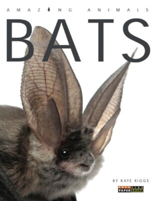 Bats (Amazing Animals (Creative Educati..., Riggs, Kate-image