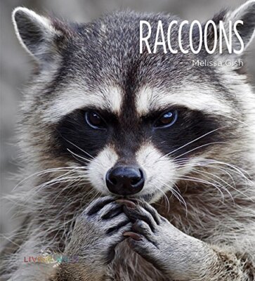 Raccoons (Living Wild), Gish Creative Education, Meliss-image