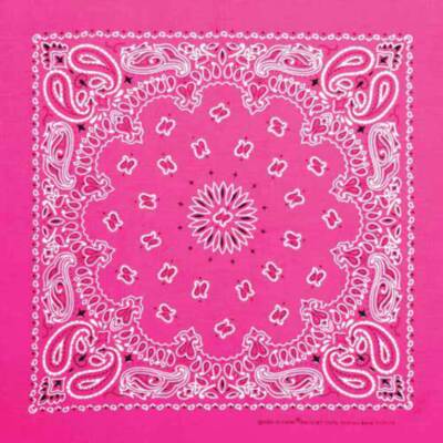 Carolina Creative Bandanna (Neon Pink) Paisley Print 22
