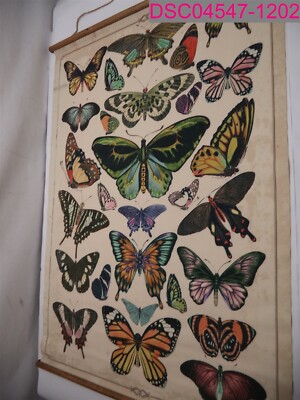 Creative Co-Op Butterfly Burlap & Wood Scroll Wall Decor 29-3/4