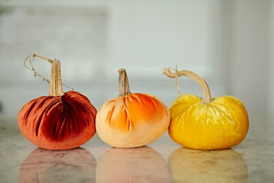 Rust, Orange, orYellow Velvet Pumpkins-image