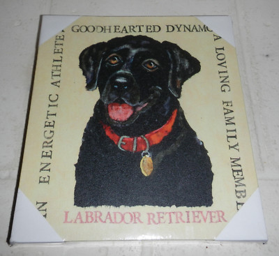 NWT Labrador Retriever Dog 11x12 Canvas Wall Plaque Sign Art by Creative Co-Op-image