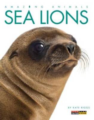 Amazing Animals: Sea Lions - Paperback By Riggs, Kate - VERY GOOD-image