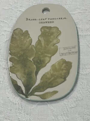 CreativeCo-op  Stoneware Cheese Plate Board SEAWEED 11