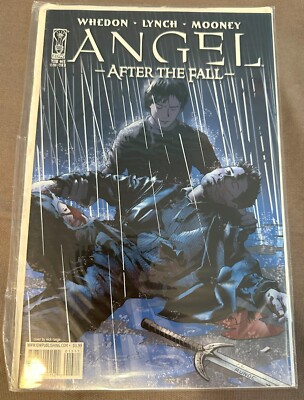 Angel: After the Fall #13 – Cover B Variant – IDW Publishing (November 2008)-image