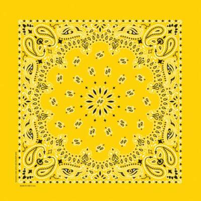 Carolina Creative Bandanna (Lemon) Paisley Print 22
