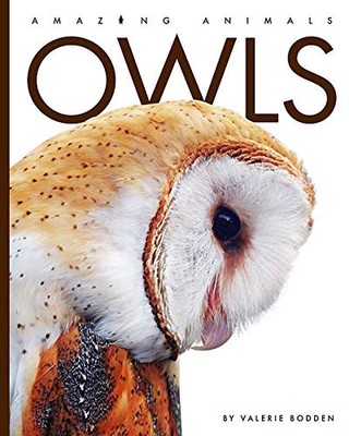 Owls (Amazing Animals) - VERY GOOD-image