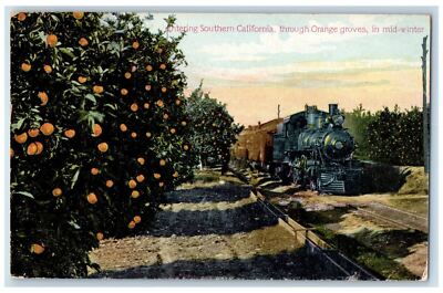 1911 Entering Southern California Orange Groves Mid-Winter Locomotive Postcard-image