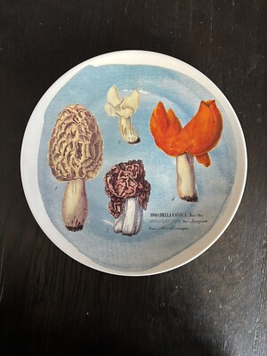 8-inch Decorative Mushroom Plate Creative Co-op-image