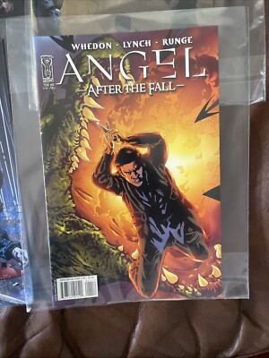 Lot of 8 Angel: After the Fall/others  Issues #1 5 11 13 20 25 36 Excellent Cond-image