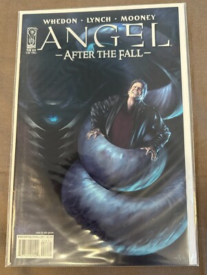 Angel: After the Fall #14 – Cover A – IDW (December 2008) - NM/VF-image
