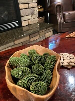Creative Co-Op Flocked Pinecone Fillers-image