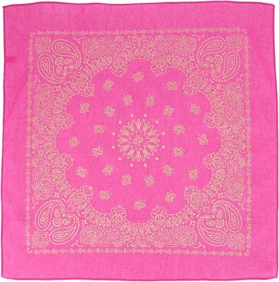Carolina Creative Bandanna (Hot Pink/Gold) Metallic Paisley 22